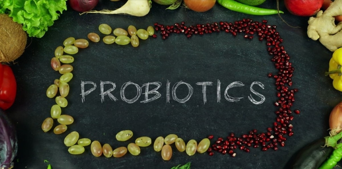سلامت گوارش و پروبیوتیک