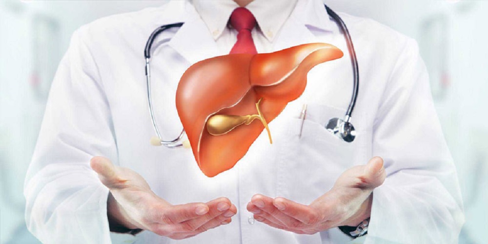 آشنایی با کبد چرب و شناخت درمان آن